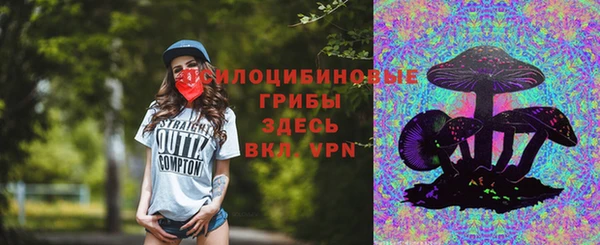 эйфоретик Алексин