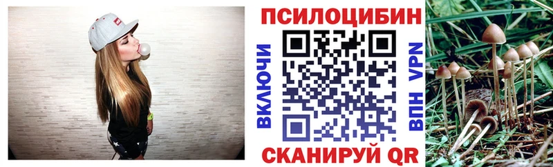 Галлюциногенные грибы MAGIC MUSHROOMS  MEGA маркетплейс  Клинцы  цена наркотик 